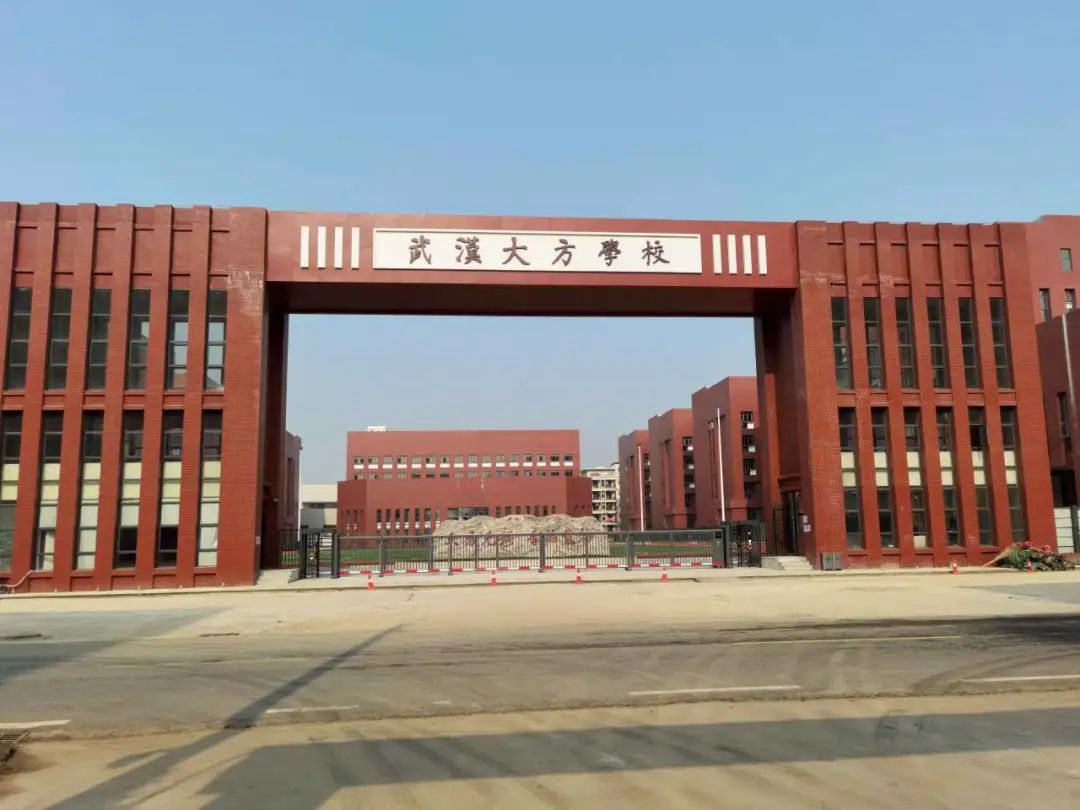 湖北省武汉市江夏区大方高级中学