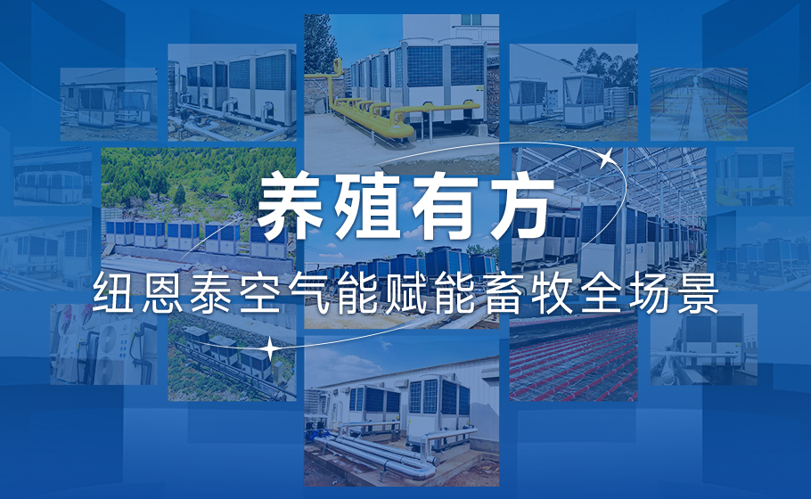 养殖有方！纽恩泰空气能赋能畜牧全场景！